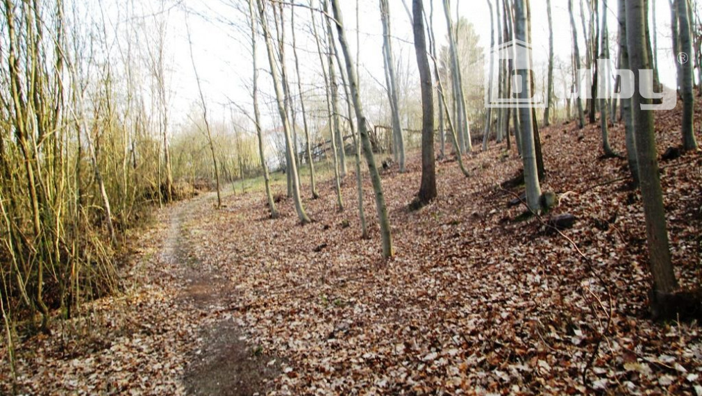 PREDAJ - POZEMOK DOLNÝ MILOCHOV 3627 m2 POVAŽSKÁ BYSTRICA