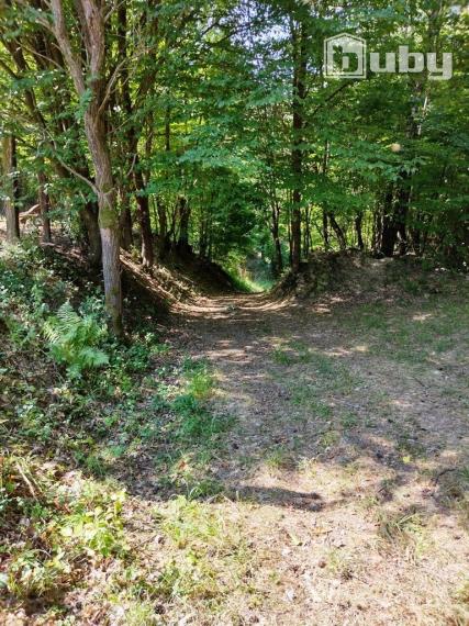 PREDAJ - POZEMOK NA SAMOTE DOLNÝ MILOCHOV OKRES POVAŽSKÁ BYSTRICA