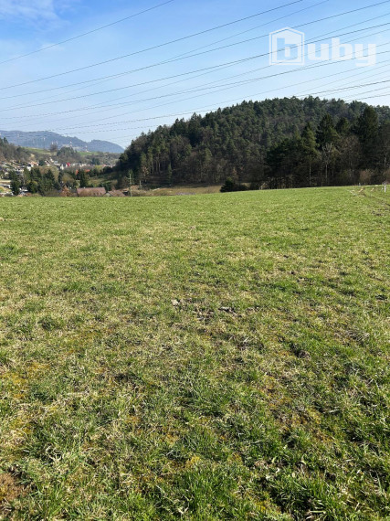 PREDAJ-POZEMOK JELŠOVÉ-POVAŽSKÁ BYSTRICA,VHODNÝ NA BILLBOARD AJ REKREÁCIU