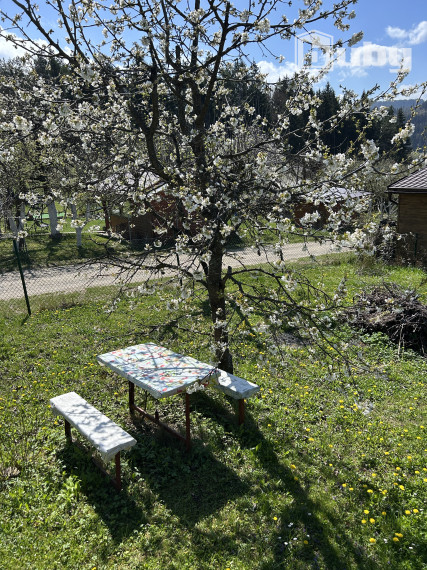 PREDAJ - ZÁHRADA S CHATKOU, DOLINKY, POVAŽSKÁ BYSTRICA