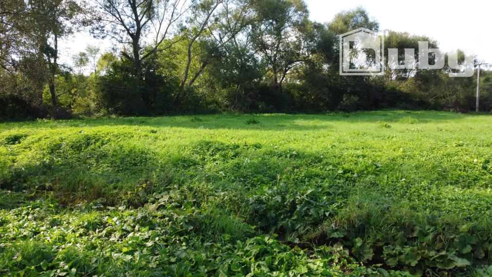 Veľký, rovinatý pozemok na predaj, Žabokreky, 3 860 m2.