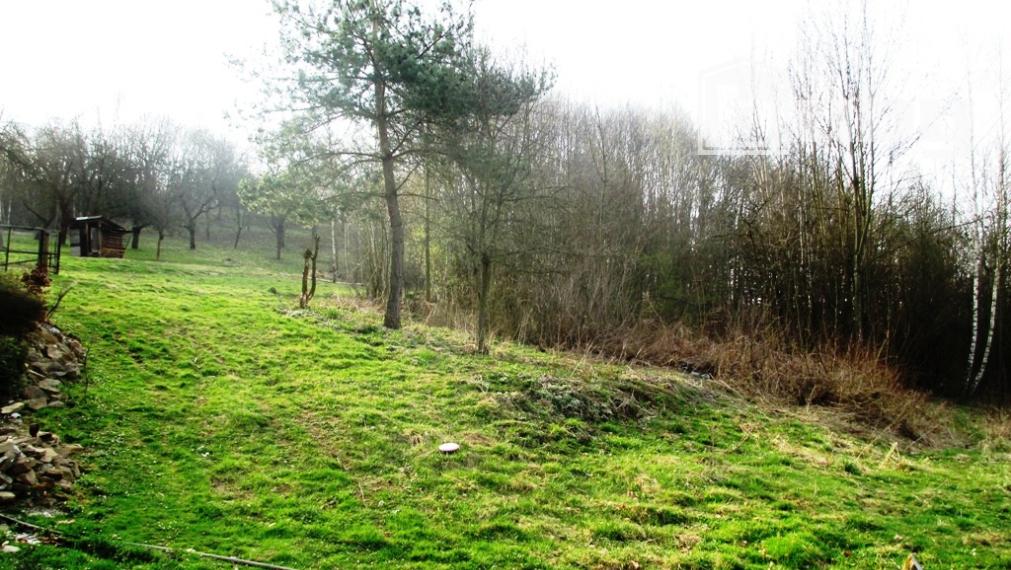 PREDAJ - POZEMOK DOLNÝ MILOCHOV 3627 m2 POVAŽSKÁ BYSTRICA