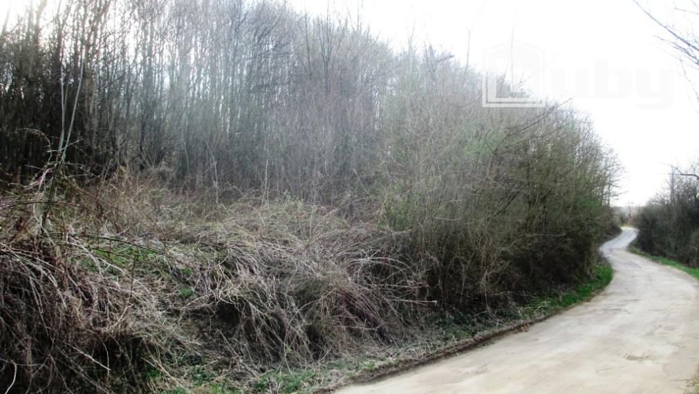 PREDAJ - POZEMOK DOLNÝ MILOCHOV 3627 m2 POVAŽSKÁ BYSTRICA