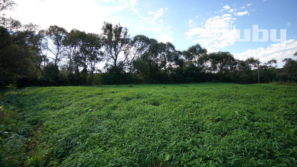 Veľký, rovinatý pozemok na predaj, Žabokreky, 3 860 m2.