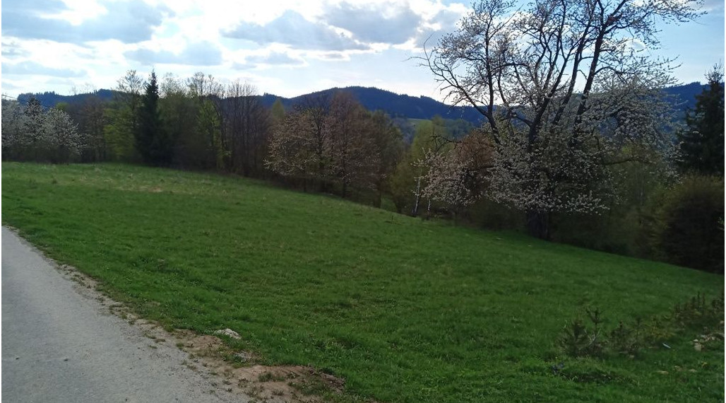 PREDAJ REKREAČNÝ POZEMOK VEĽKÉ ROVNÉ, BYTČA, ZNÍŽENÁ CENA !