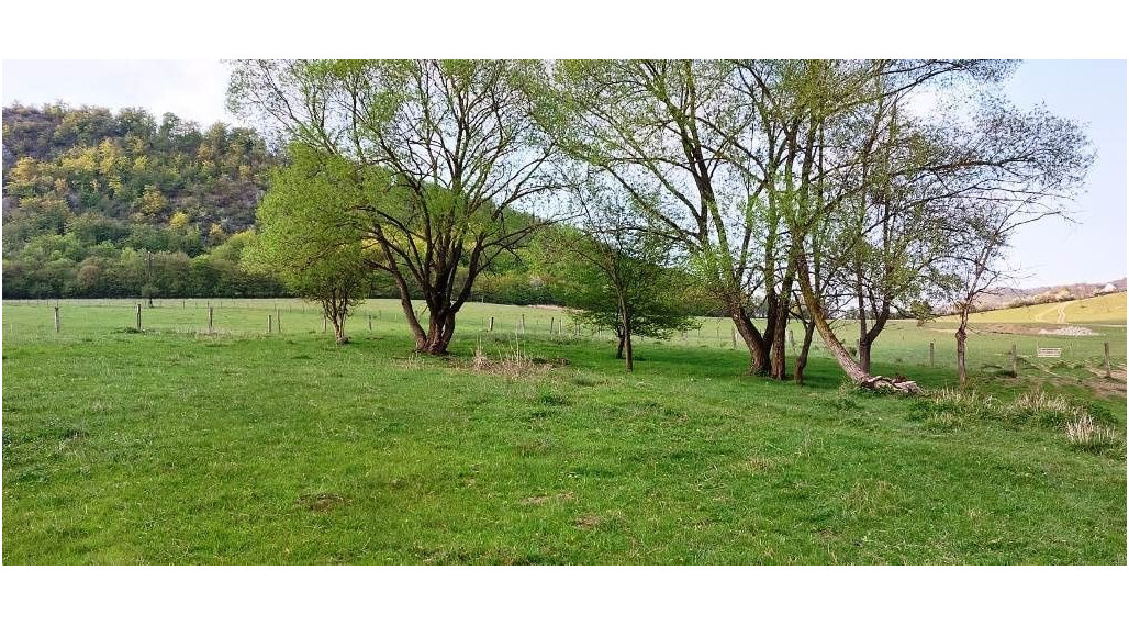 PREDAJ - POZEMOK PRAZNOV POVAŽSKÁ BYSTRICA 7346 m2