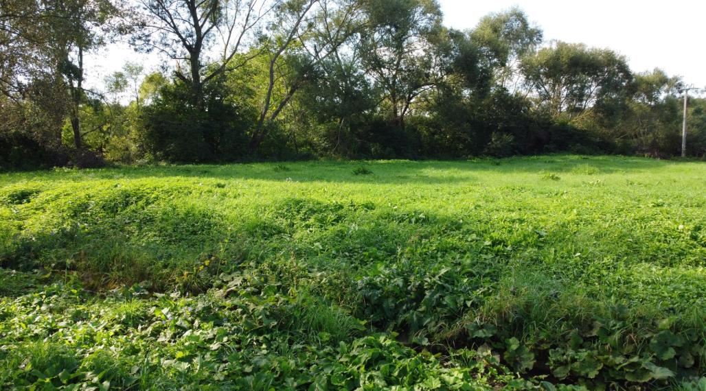 Veľký, rovinatý pozemok na predaj, Žabokreky, 3 860 m2.