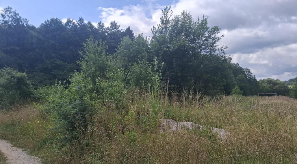 PREDAJ - STAVEBNÝ POZEMOK 2 066 m2 JELŠOVÉ POVAŽSKÁ BYSTRICA