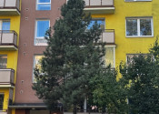 Predaj - 3 izbový byt 84 m2, Hliny V, Žilina - fotografia 31