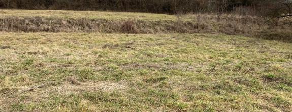 PREDAJ POZEMOK POVAŽSKÁ BYSTRICA, JELŠOVÉ,  Znížená cena !