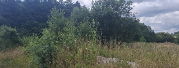 PREDAJ - STAVEBNÝ POZEMOK 2 066 m2 JELŠOVÉ POVAŽSKÁ BYSTRICA