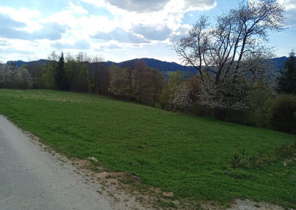 PREDAJ REKREAČNÝ POZEMOK VEĽKÉ ROVNÉ, BYTČA, ZNÍŽENÁ CENA !