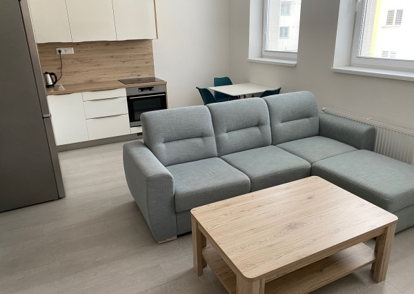 Prenájom1 izbový byt 39 m2, v novostavbe, Martin Podháj