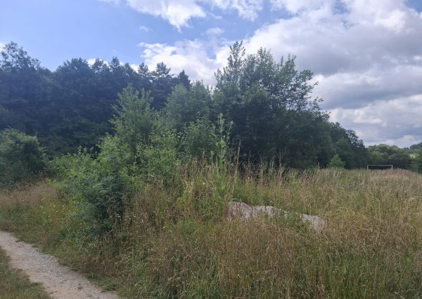 PREDAJ - STAVEBNÝ POZEMOK 2 066 m2 JELŠOVÉ POVAŽSKÁ BYSTRICA