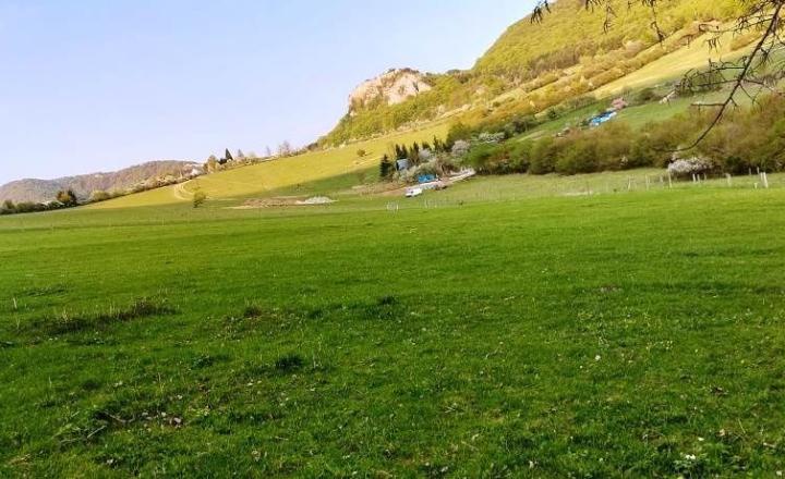 PREDAJ - POZEMOK PRAZNOV POVAŽSKÁ BYSTRICA 7346 m2 - fotografia 4
