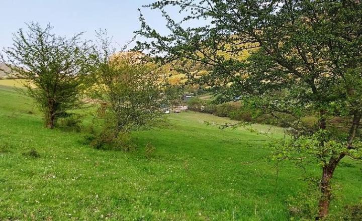 PREDAJ - POZEMOK PRAZNOV POVAŽSKÁ BYSTRICA 7346 m2 - fotografia 5