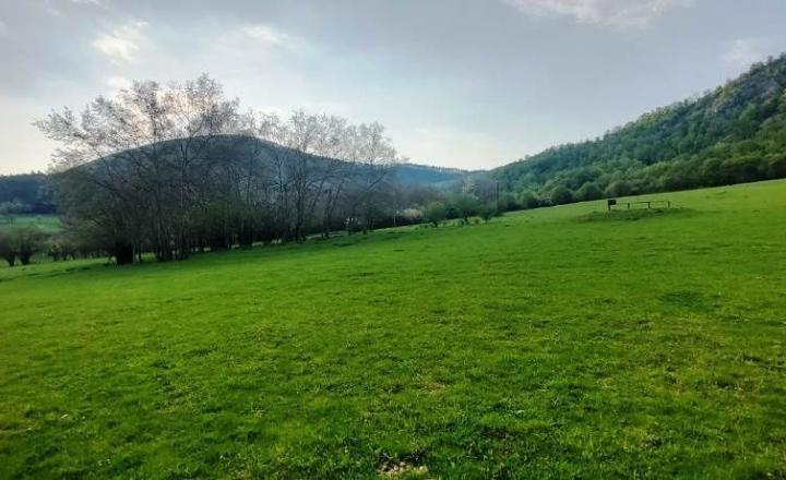 PREDAJ - POZEMOK PRAZNOV POVAŽSKÁ BYSTRICA 7346 m2 - fotografia 6