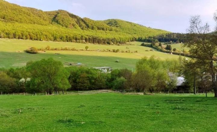 PREDAJ - POZEMOK PRAZNOV POVAŽSKÁ BYSTRICA 7346 m2 - fotografia 7