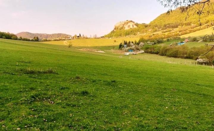 PREDAJ - POZEMOK PRAZNOV POVAŽSKÁ BYSTRICA 7346 m2 - fotografia 8