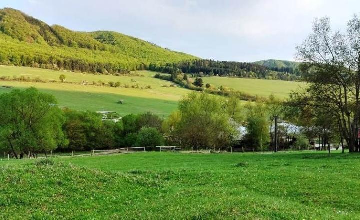 PREDAJ - POZEMOK PRAZNOV POVAŽSKÁ BYSTRICA 7346 m2 - fotografia 9