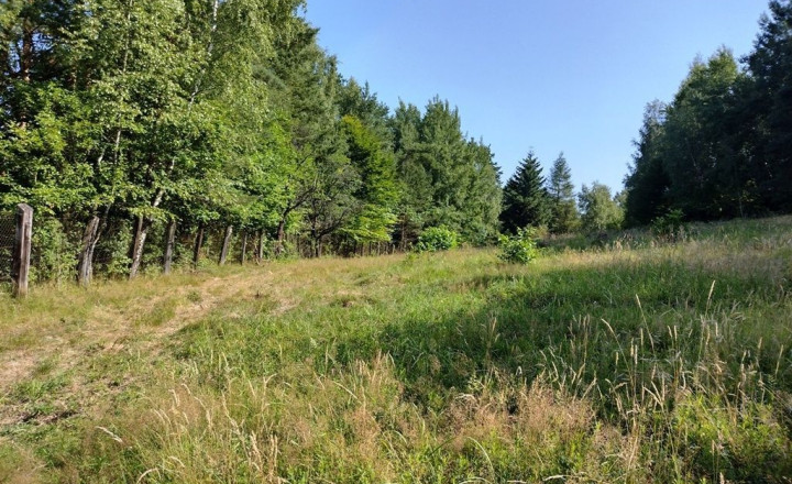 PREDAJ - POZEMOK NA SAMOTE DOLNÝ MILOCHOV OKRES POVAŽSKÁ BYSTRICA - fotografia 2