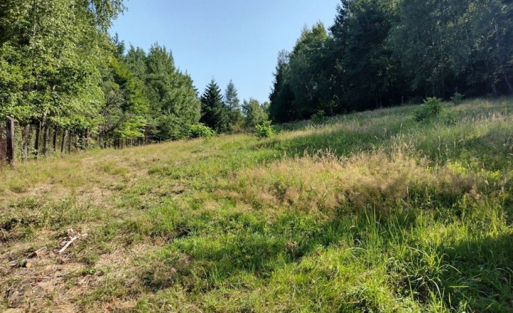 PREDAJ - POZEMOK NA SAMOTE DOLNÝ MILOCHOV OKRES POVAŽSKÁ BYSTRICA - fotografia 3