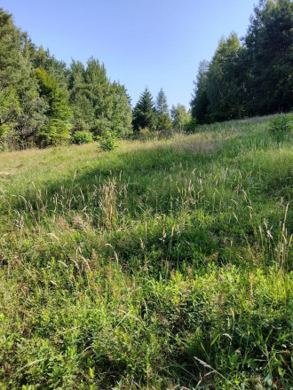 PREDAJ - POZEMOK NA SAMOTE DOLNÝ MILOCHOV OKRES POVAŽSKÁ BYSTRICA - fotografia 4