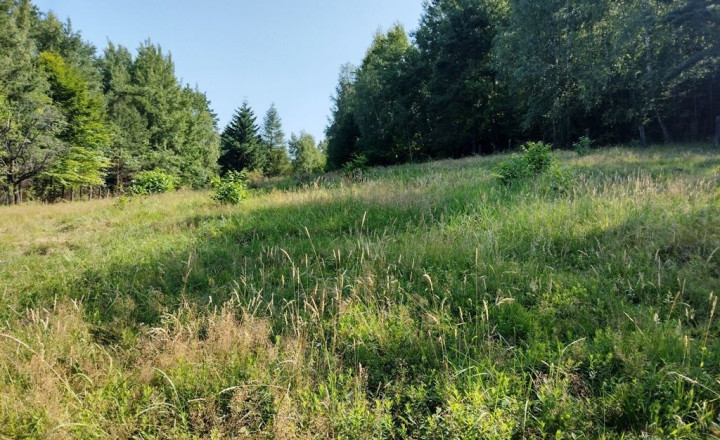 PREDAJ - POZEMOK NA SAMOTE DOLNÝ MILOCHOV OKRES POVAŽSKÁ BYSTRICA - fotografia 5
