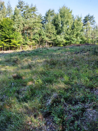 PREDAJ - POZEMOK NA SAMOTE DOLNÝ MILOCHOV OKRES POVAŽSKÁ BYSTRICA - fotografia 8