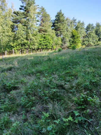 PREDAJ - POZEMOK NA SAMOTE DOLNÝ MILOCHOV OKRES POVAŽSKÁ BYSTRICA - fotografia 9