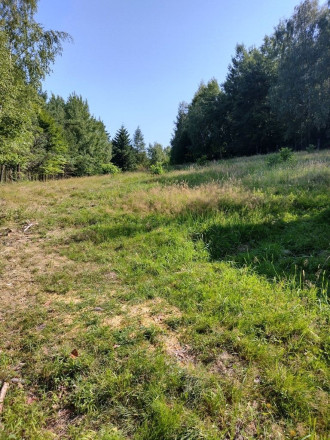 PREDAJ - POZEMOK NA SAMOTE DOLNÝ MILOCHOV OKRES POVAŽSKÁ BYSTRICA - fotografia 10