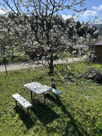 PREDAJ - ZÁHRADA S CHATKOU, DOLINKY, POVAŽSKÁ BYSTRICA - fotografia 5